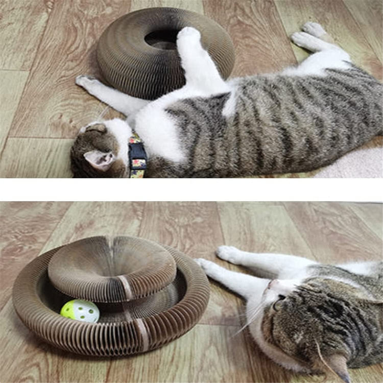Magic Organ Cat Scratching Board-with a Toy Bell, Interactive Scratcher Cat Toy, Cat Grinding Claw Scratching Board, Foldable