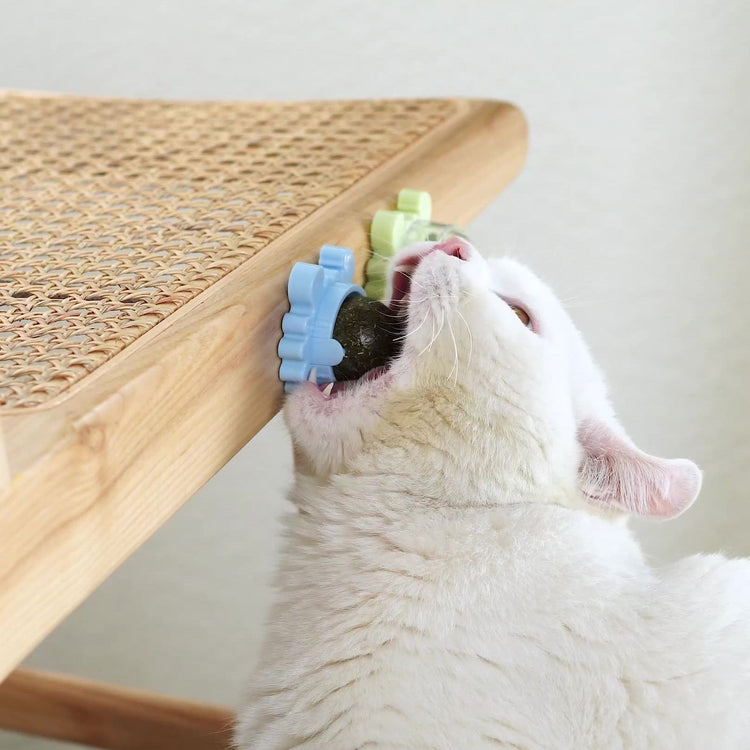 New Catnip Pure Natural Cats Candy Snack Ball Rotatable Toy Cat Molar Toothpaste Edible Bolus Teeth Cleaning Bite-resistant Toys